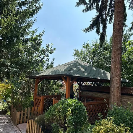 Oasis Center