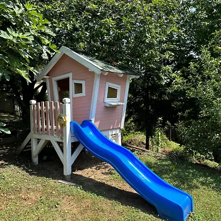 Oasis Center * Sarajevo