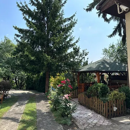 Oasis Center