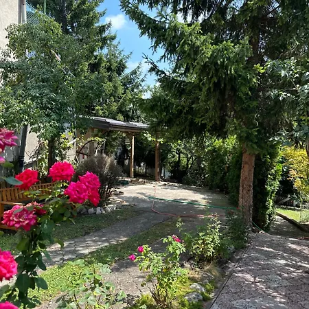 Oasis Center *